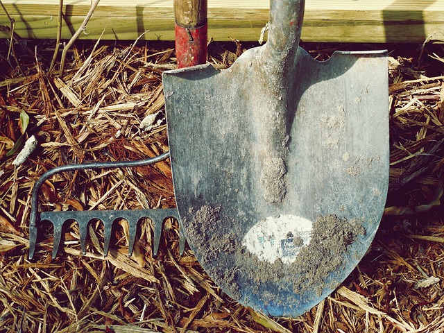 Garden tools needing cleaning